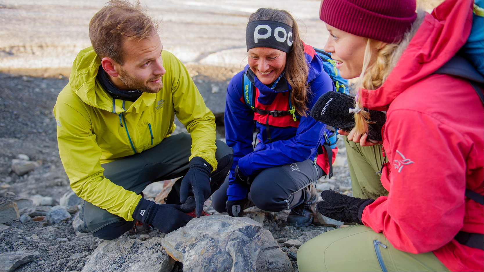 Isfjord safari with fossil hunting